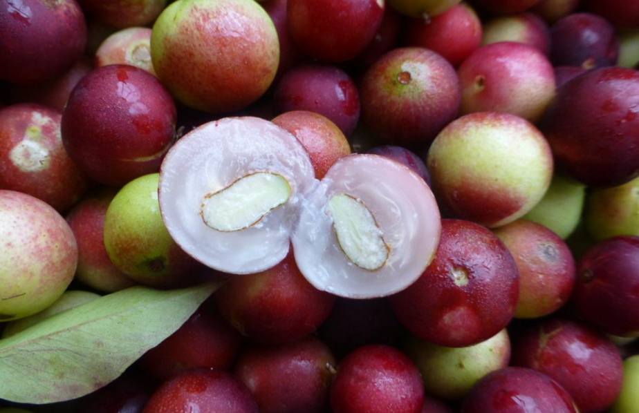 Thermo T3 – Activa tu metabolismo (28 sobres)