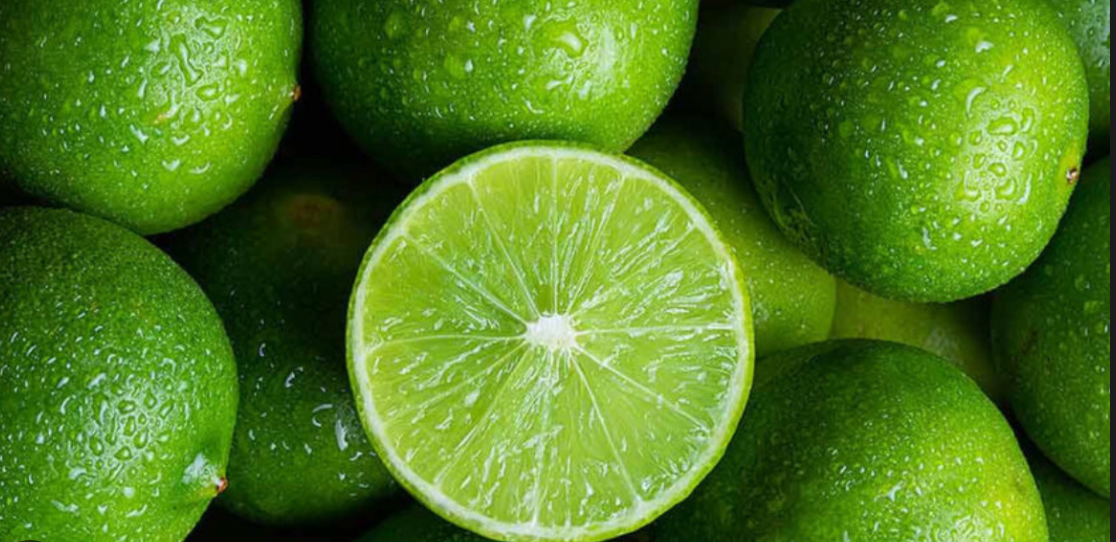 Fibra Líquida – Digestión ligera, cuerpo saludable