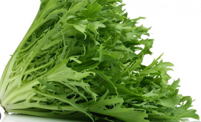 NoCarb-T – Bloquea carbohidratos y azúcares (28 sobres)