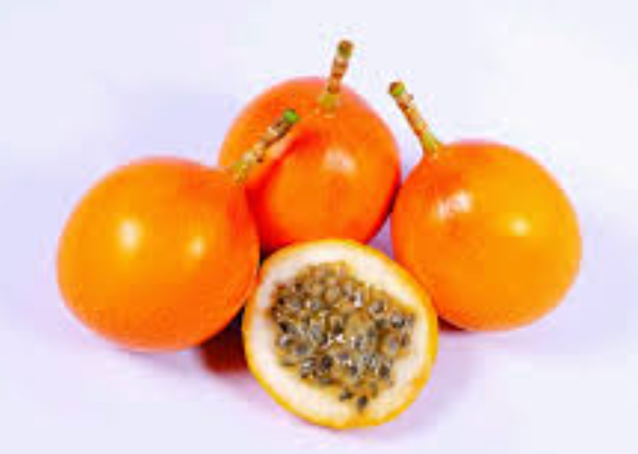 Flora Liv – Tu flora intestinal en equilibrio (28 sobres)