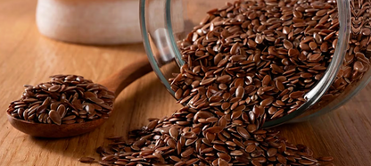 Prunex 1 – Digestión ligera y natural (28 sobres)